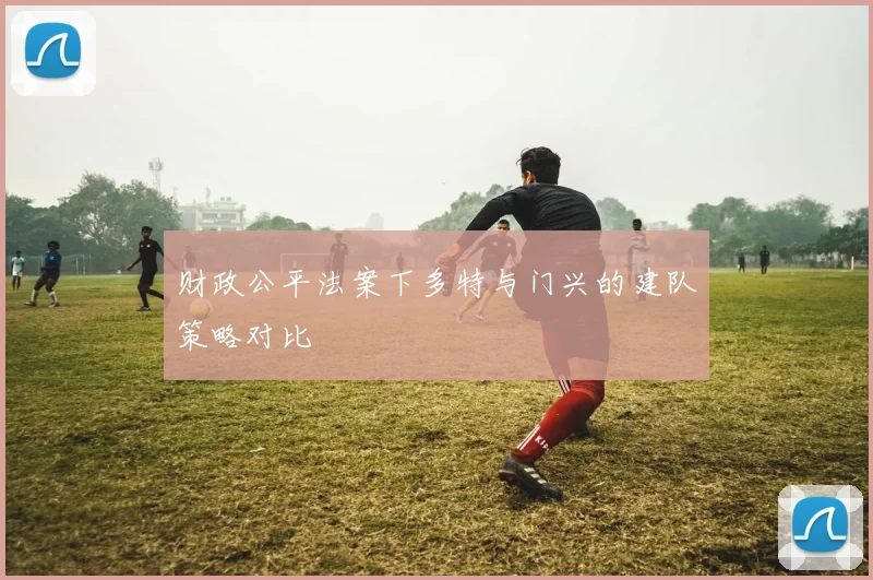 财政公平法案下多特与门兴的建队策略对比