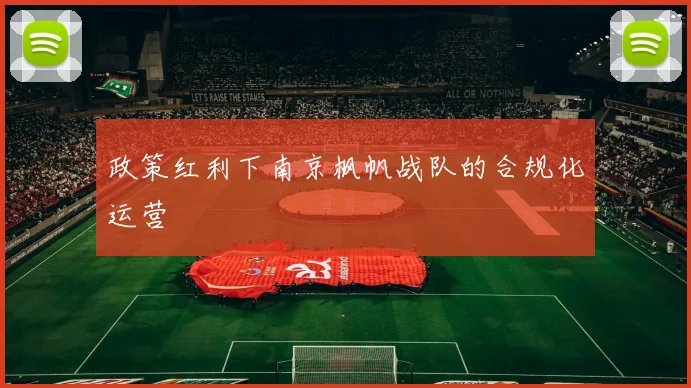 政策红利下南京枫帆战队的合规化运营