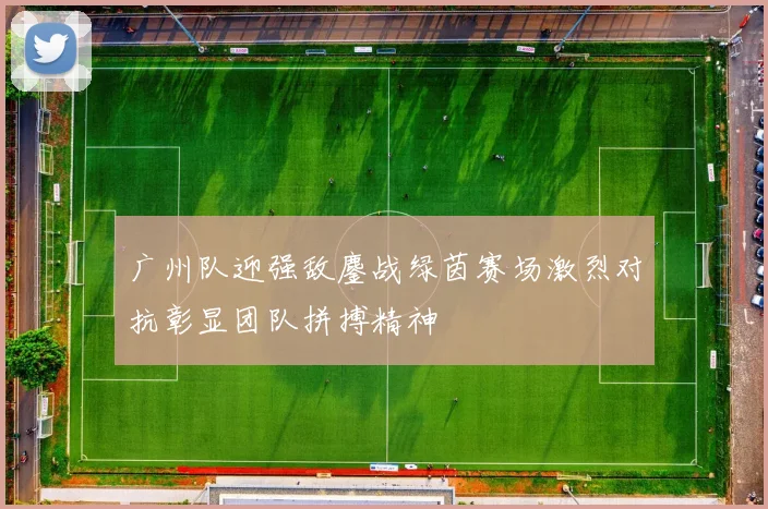 广州队迎强敌鏖战绿茵赛场激烈对抗彰显团队拼搏精神
