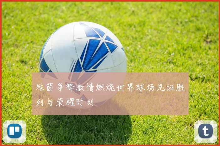 绿茵争锋激情燃烧世界球场见证胜利与荣耀时刻