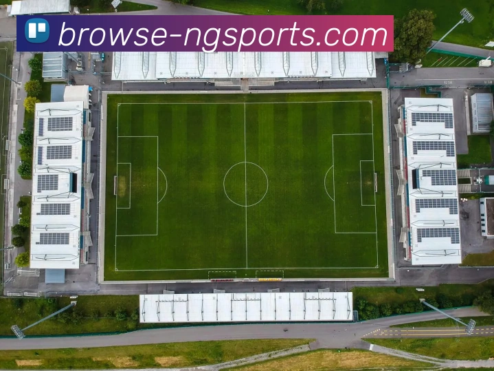 ng体育发展历程