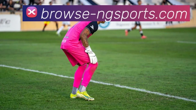 拉菲尼亚的足球之路从巴萨到国家队的辉煌与挑战